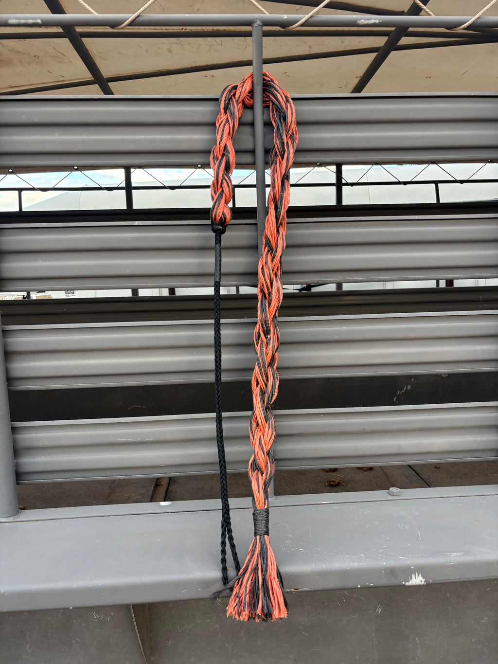 Bronc Rein