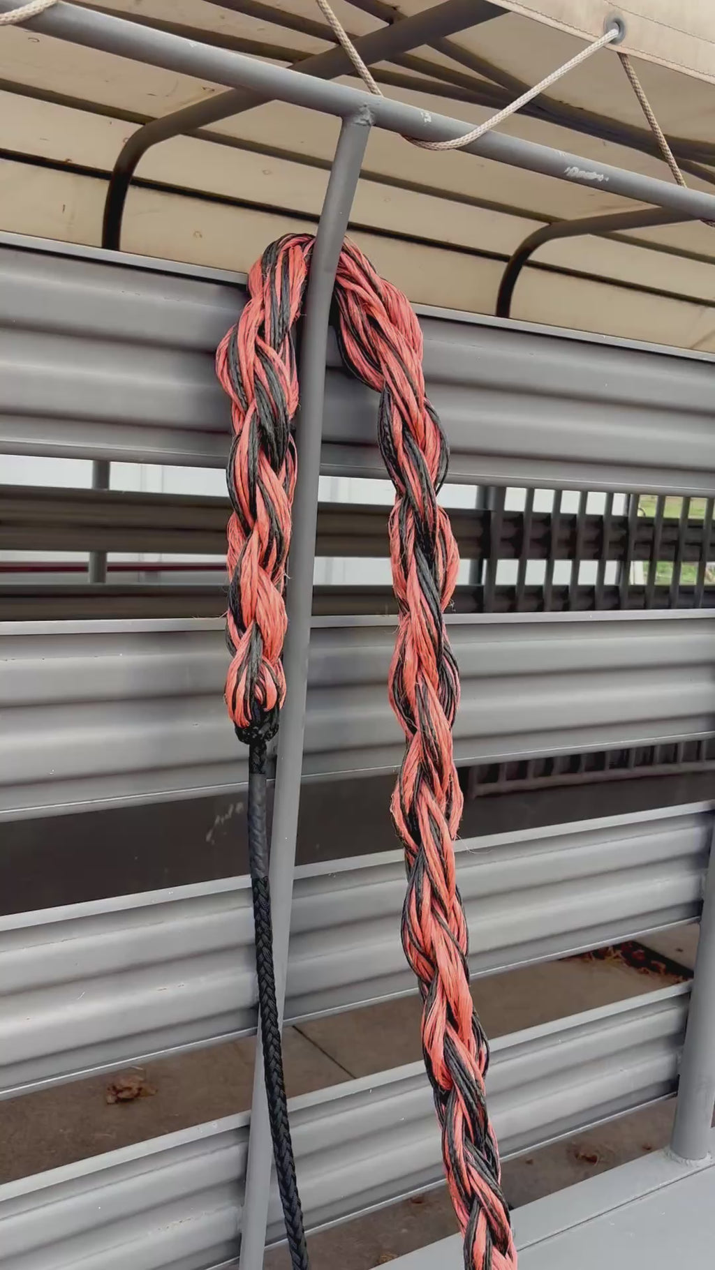 Bronc Rein