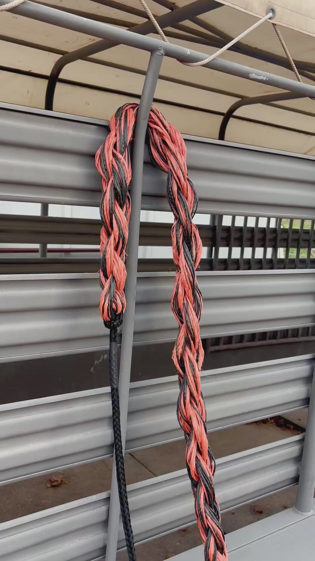 Bronc Rein