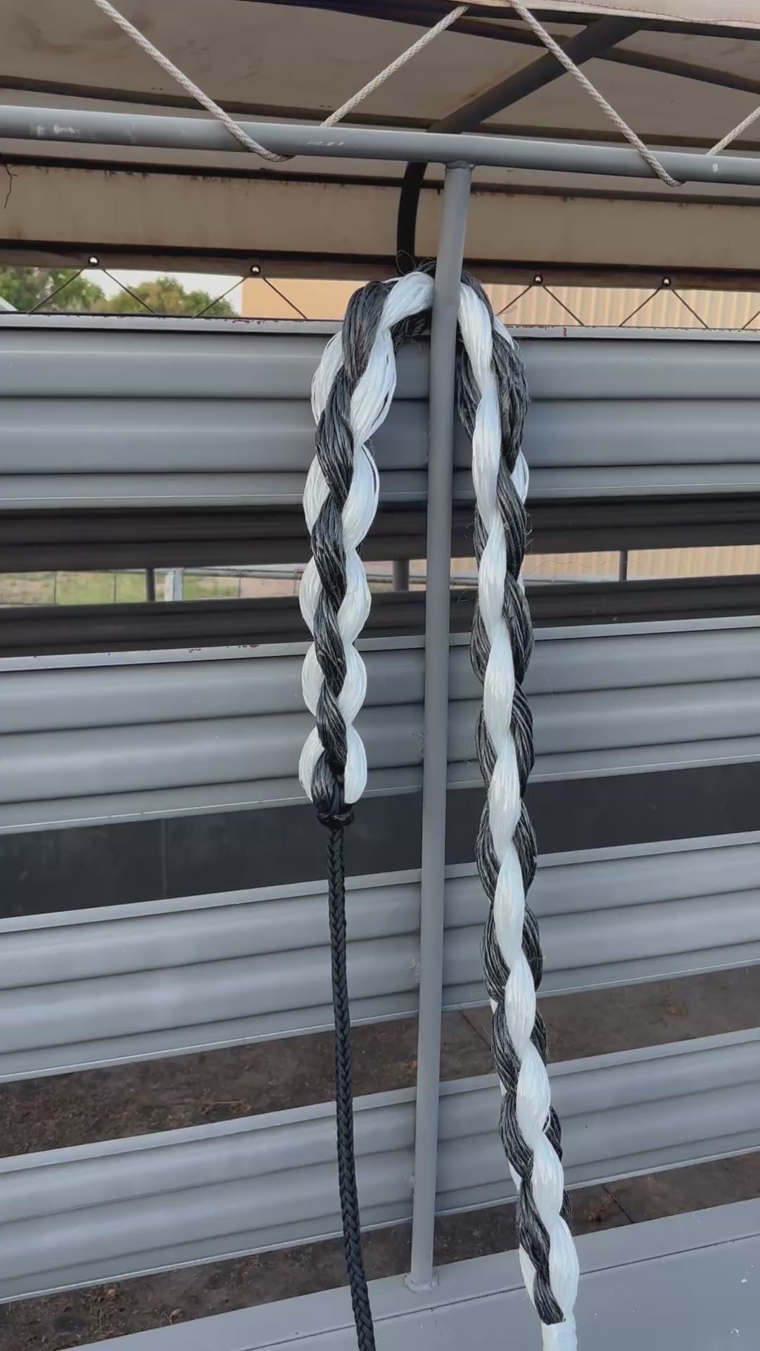 Bronc Rein